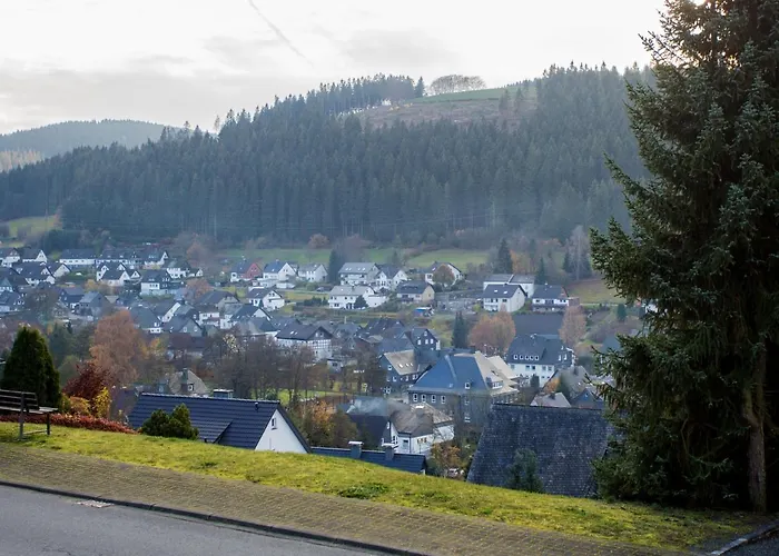 Welcome In - 26-b Aan De Bosrand Met Groot Terras Winterberg